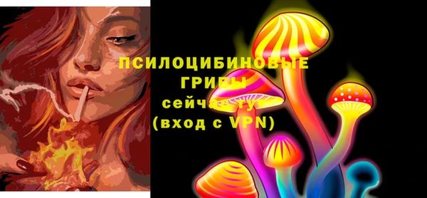 тгк Лагань