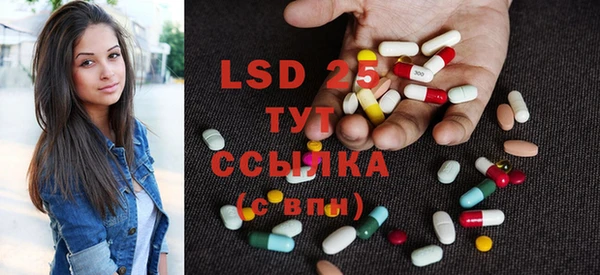 ПСИЛОЦИБИНОВЫЕ ГРИБЫ Лабытнанги