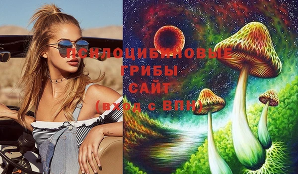 ПСИЛОЦИБИНОВЫЕ ГРИБЫ Лабытнанги