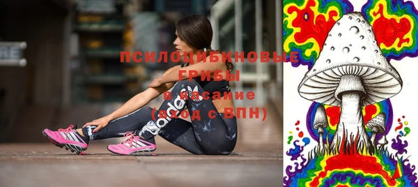 тгк Лагань