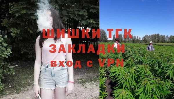 ПСИЛОЦИБИНОВЫЕ ГРИБЫ Лабытнанги