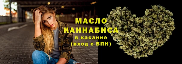 тгк Лагань