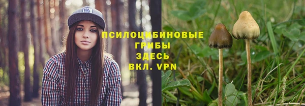 ПСИЛОЦИБИНОВЫЕ ГРИБЫ Лабытнанги